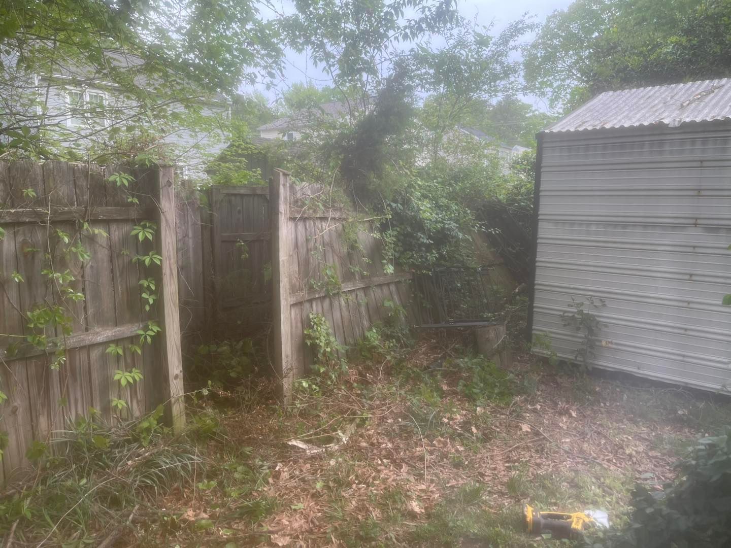 A wooden fence surrounds a shed in a backyard.
