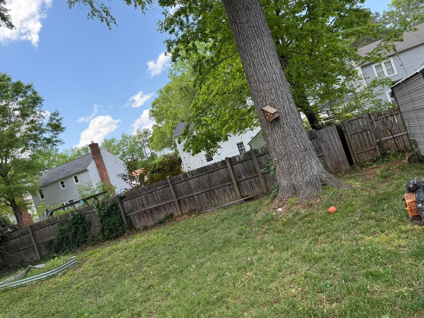 A backyard with a fence and a tree in the middle of it.