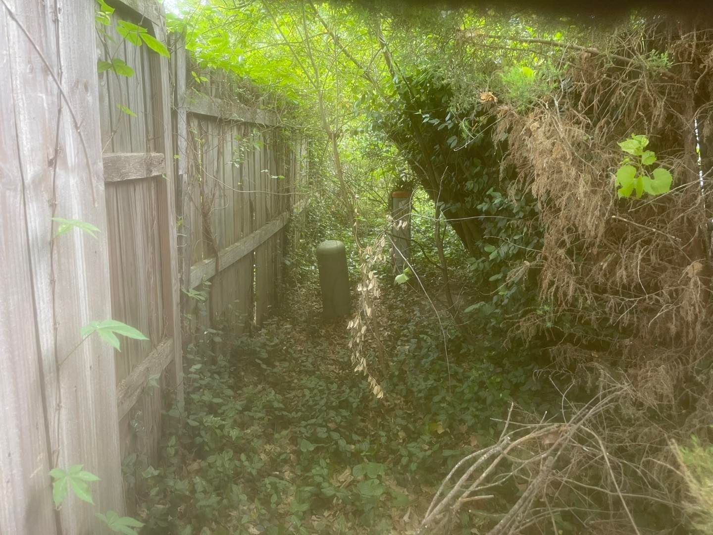 A wooden fence is surrounded by trees and bushes.