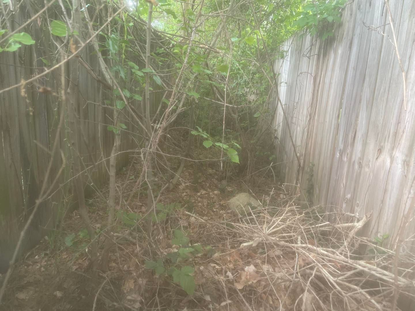A wooden fence surrounded by trees and branches.