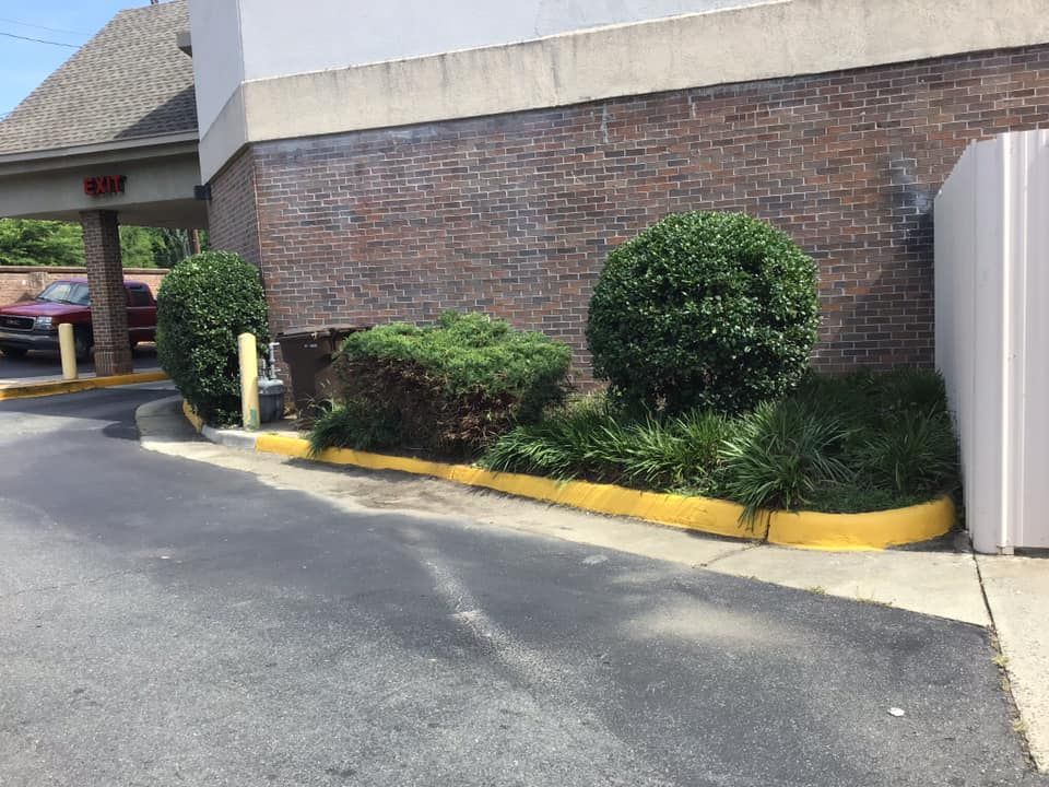 A brick building with a yellow curb and bushes in front of it