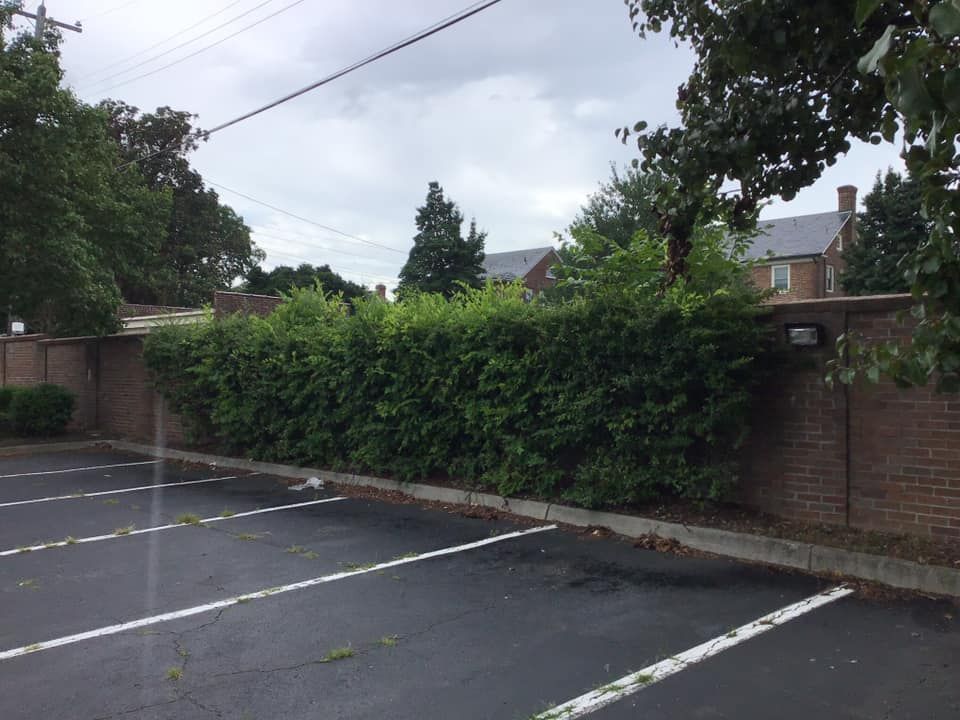A parking lot with a brick wall and trees in the background