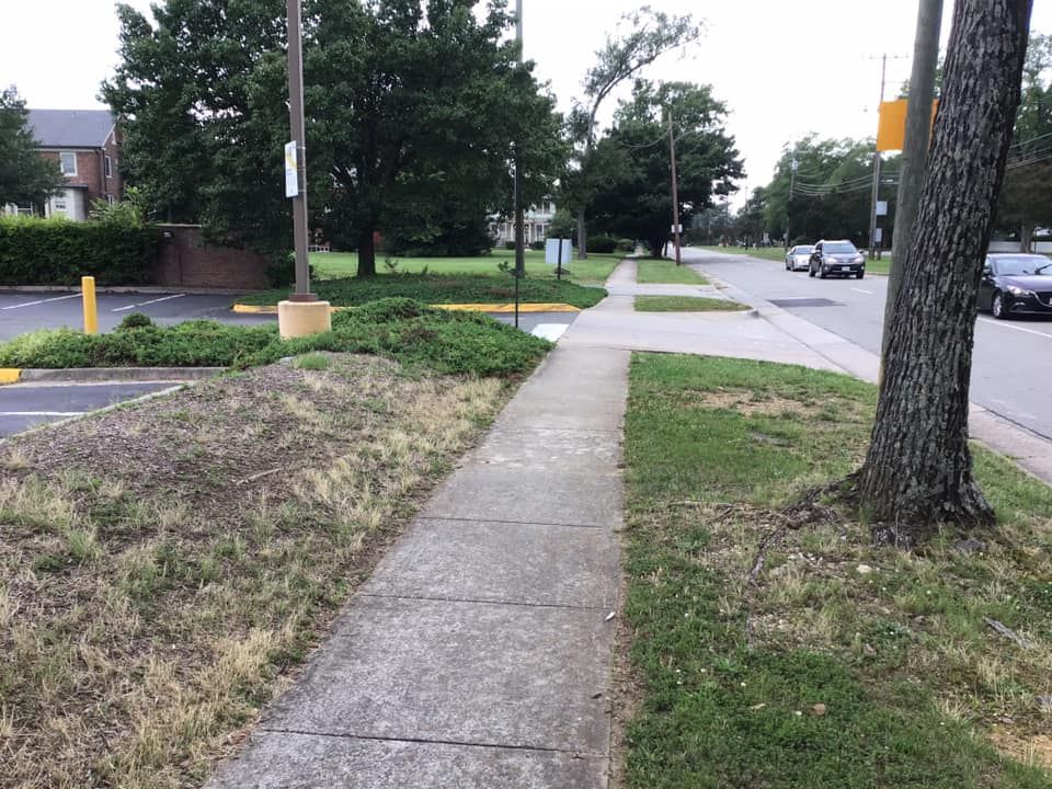 A sidewalk with a tree in the middle of it