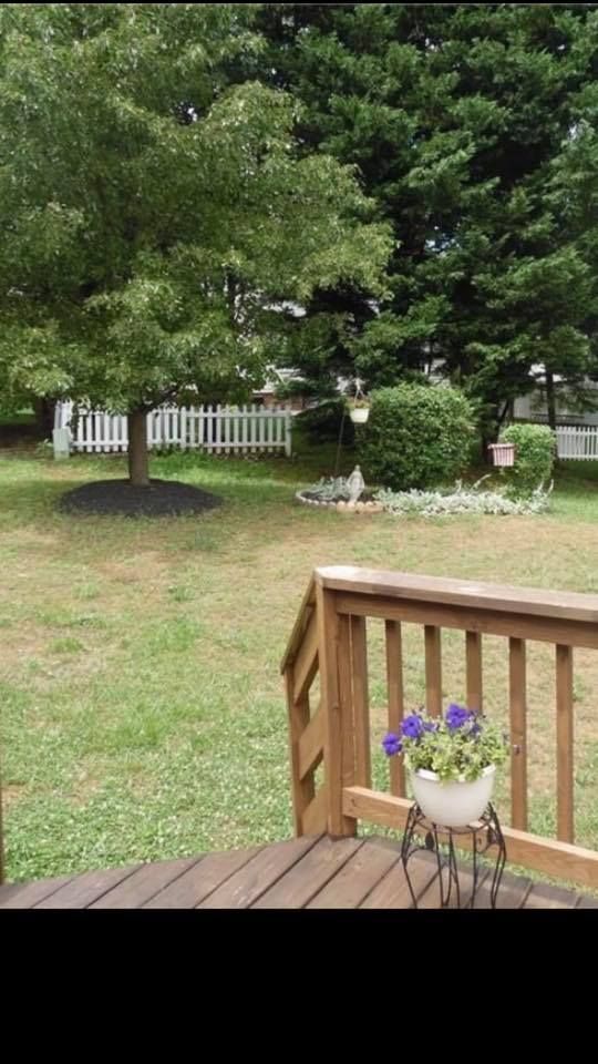 A wooden deck with a potted plant on it and a tree in the background.