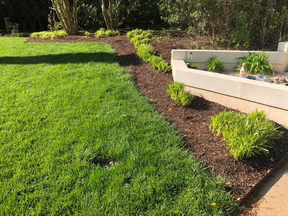 A lush green lawn with a walkway leading to it.