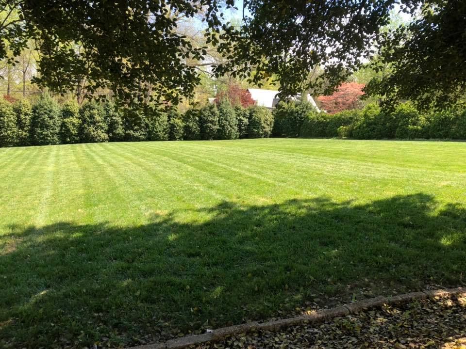 A large lush green field with trees in the background and a house in the background.