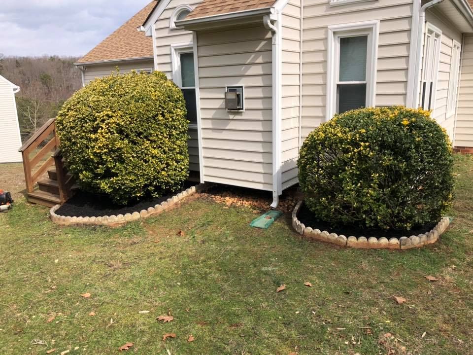 A house with a lot of bushes in front of it.