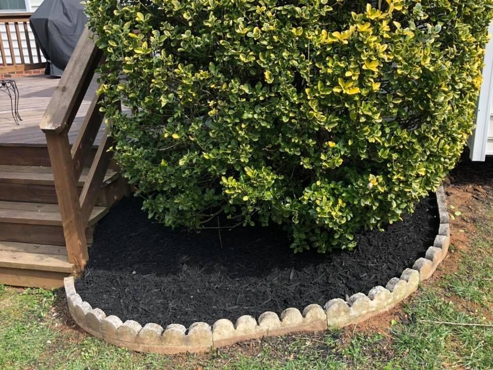 A bush is sitting in a garden next to a deck.