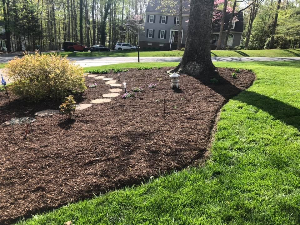 A lush green lawn with a tree in the middle of it.