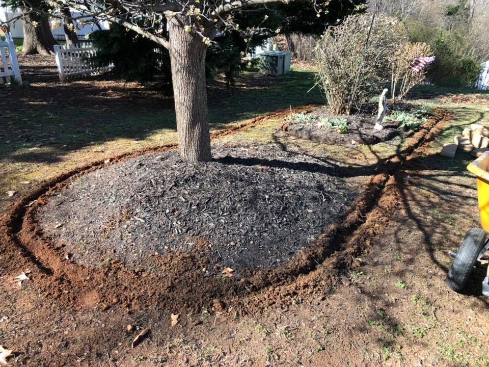 A person is laying mulch around a tree in a yard.