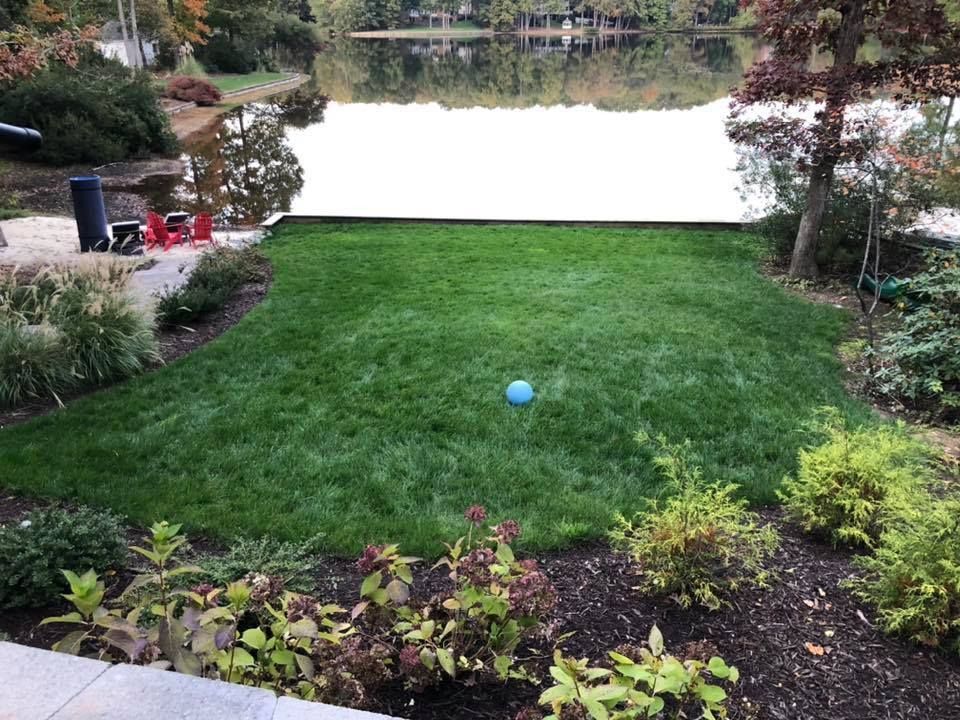 A blue ball is sitting on top of a lush green lawn next to a lake.