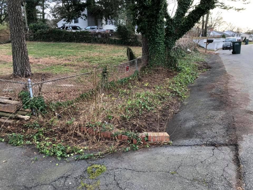 A tree is growing on the side of a road next to a sidewalk.