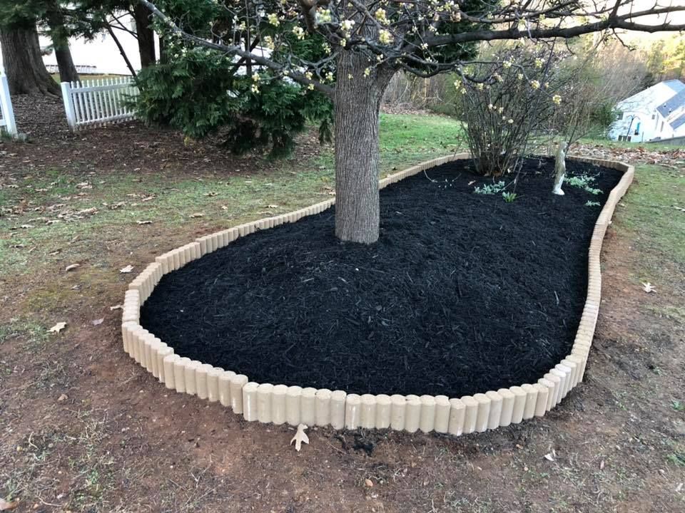 A tree is sitting in a garden surrounded by black mulch.