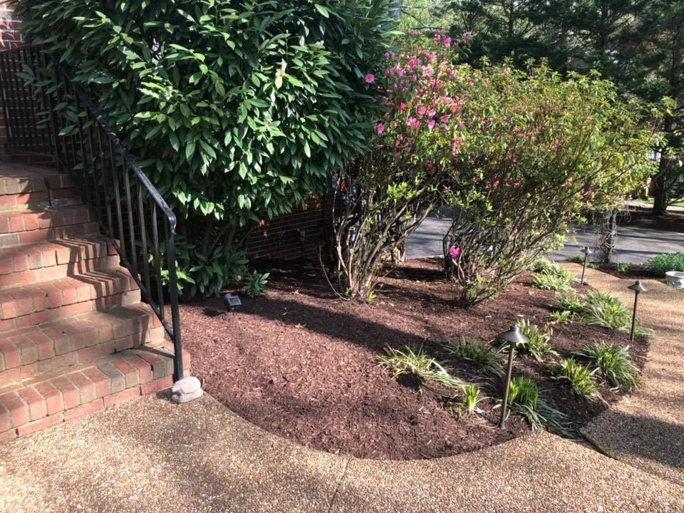 A garden with a railing and stairs leading up to a house.