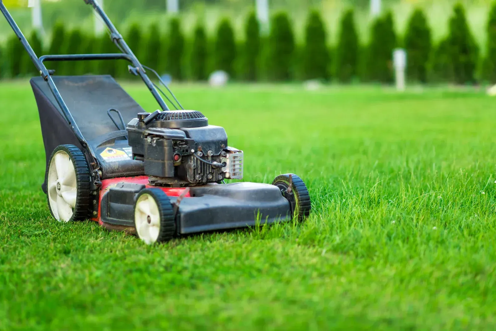 A lawn mower is cutting a lush green lawn.