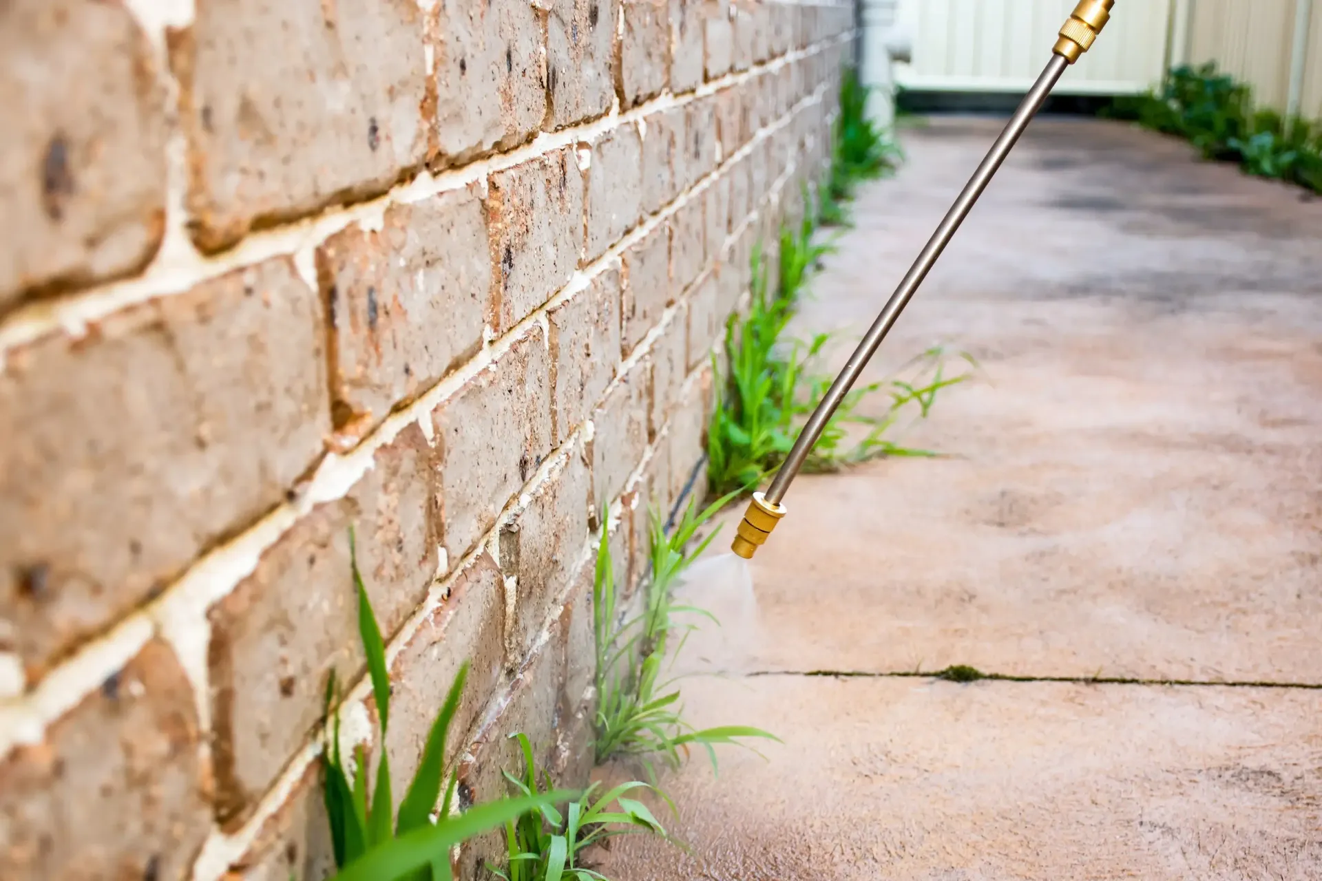 PestSmart SmartHome Package - Pest Control Solutions in Marlborough, NZ