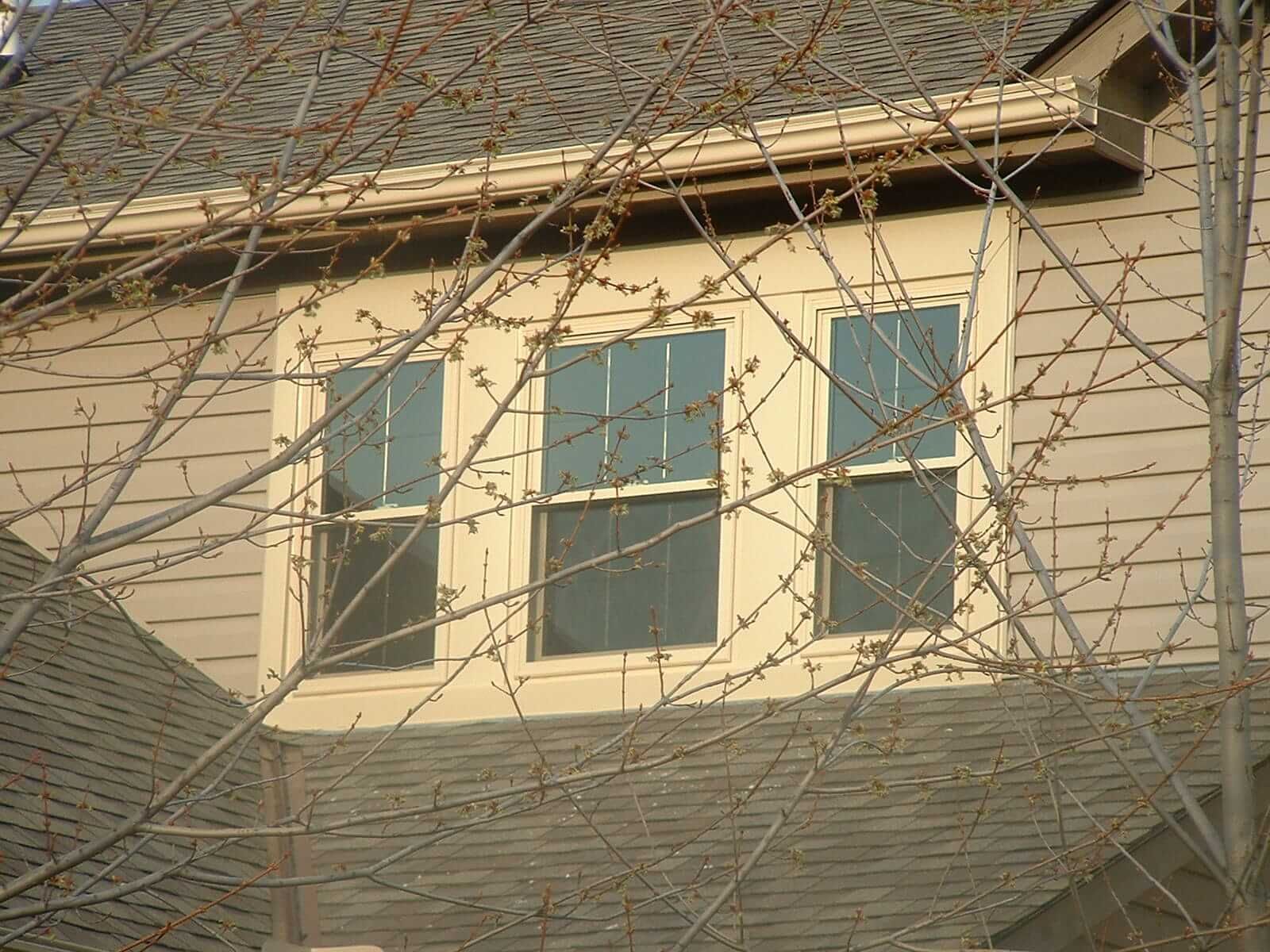 Three windows on a beige house, viewed through tree branches.