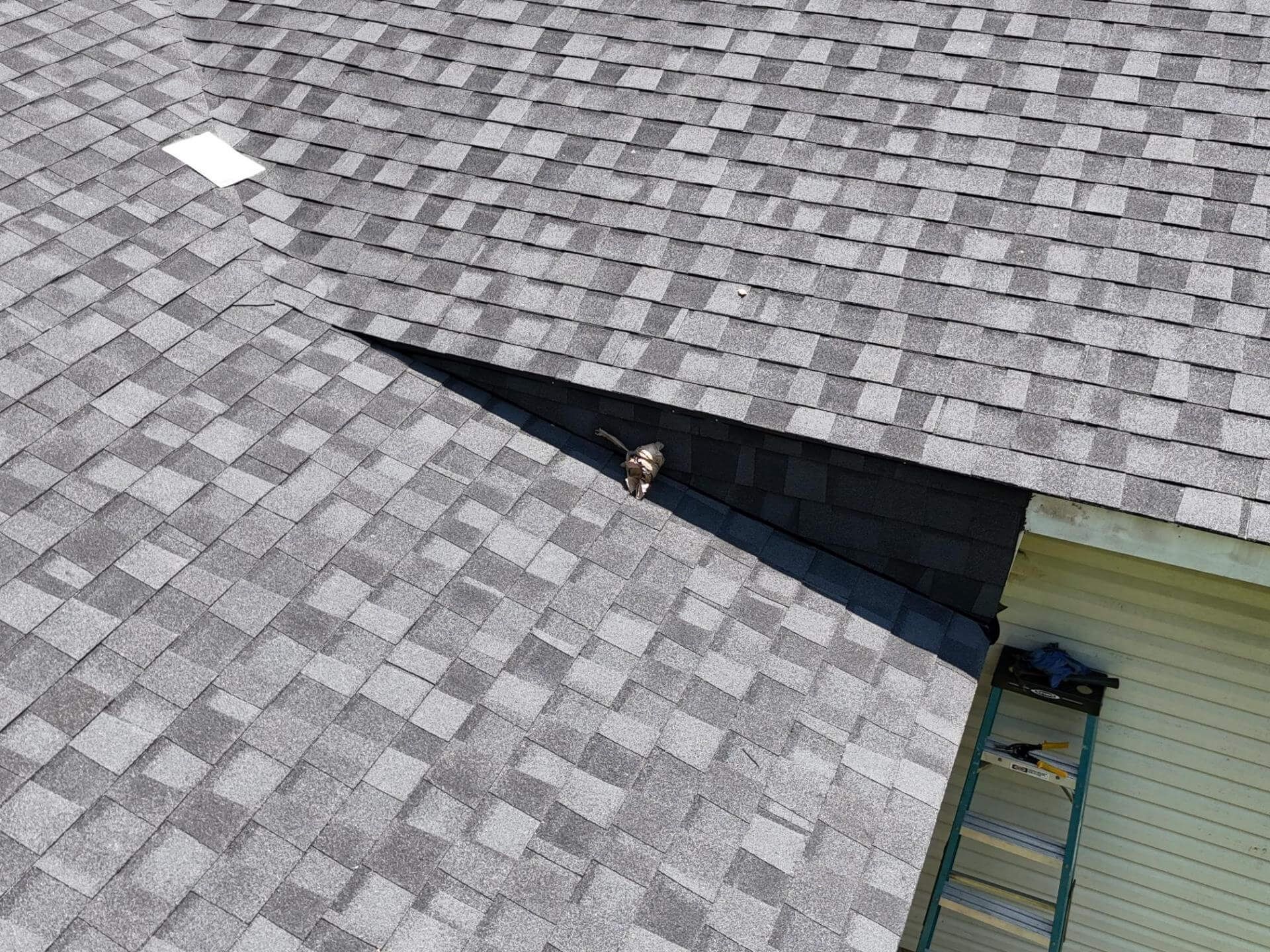 Roof with shingles, a small open hole, and a ladder propped up against the side of a building.