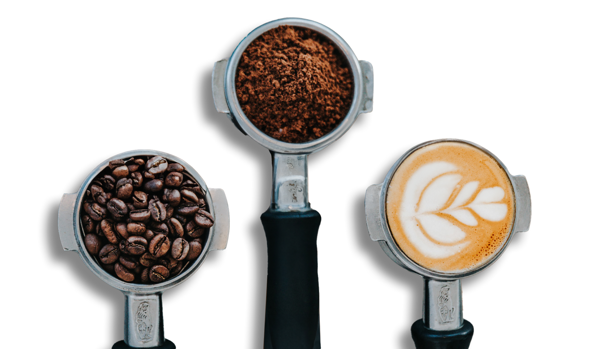 Un grupo de granos de café, café molido y un capuchino sobre un fondo blanco.