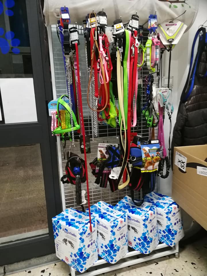 scatolette cani e gatti