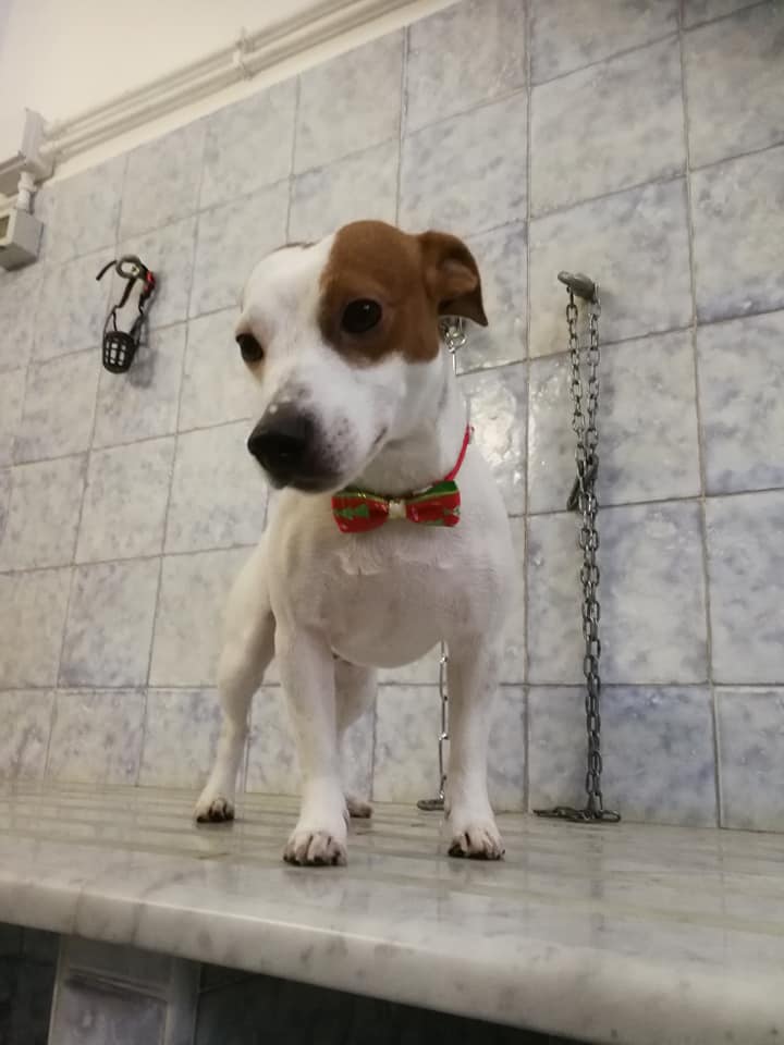 cappuccino con panna