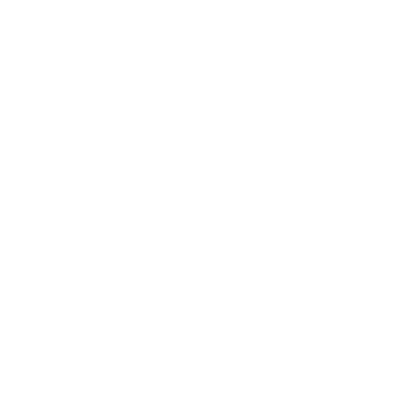 Sunbelt Logo