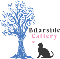 Briarside Cattery