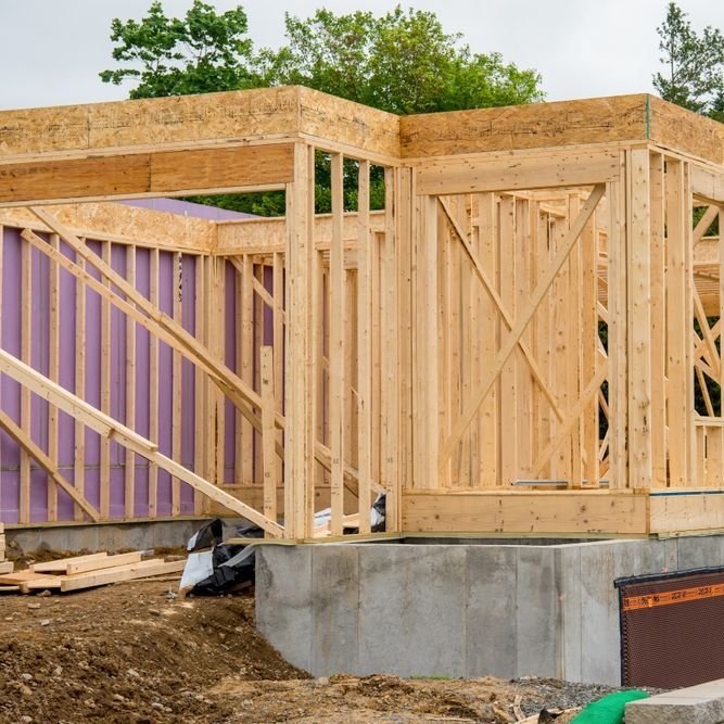 A house is being built with wooden frames and purple insulation.