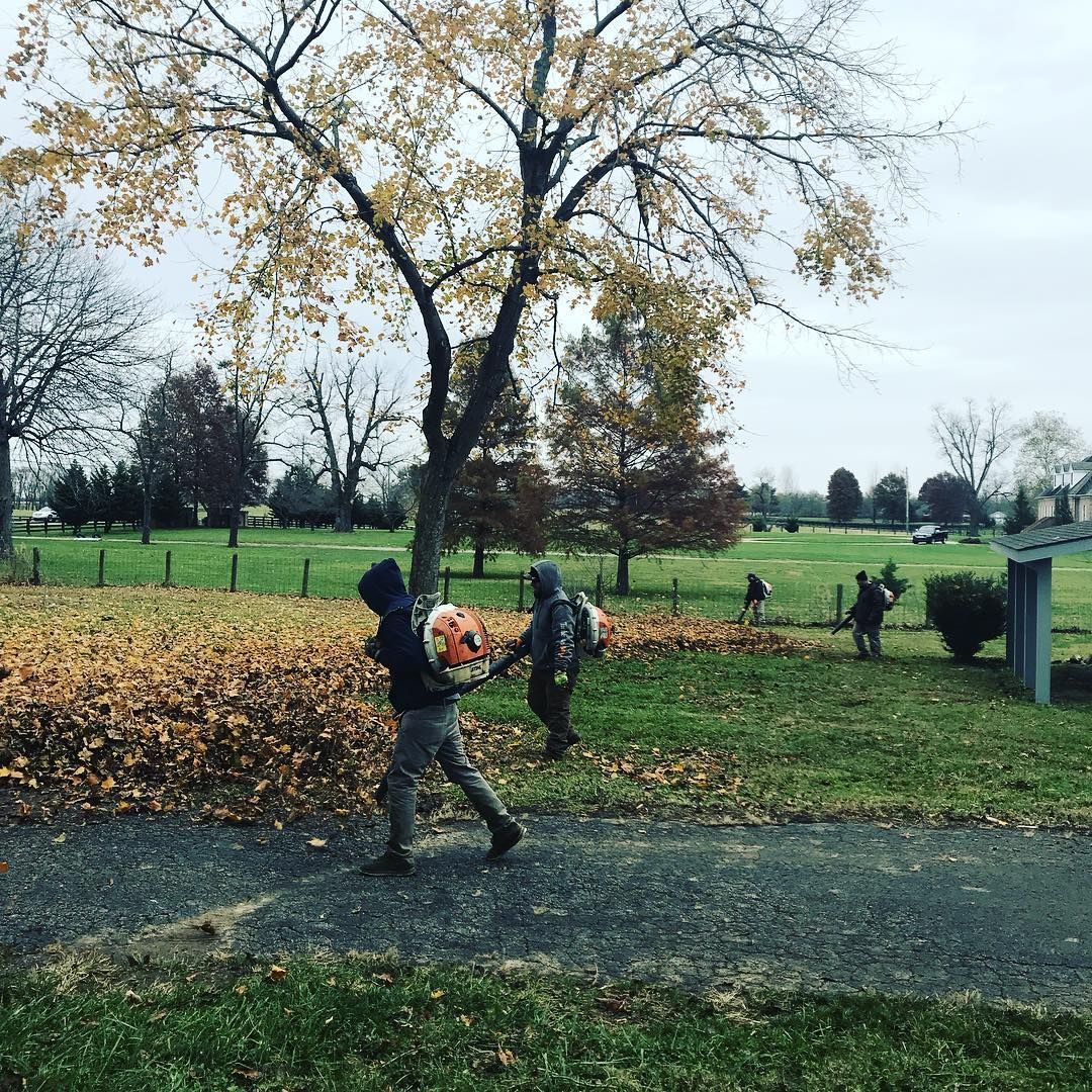 People raking leaves outdoors. One carries a pumpkin. Cloudy day.
