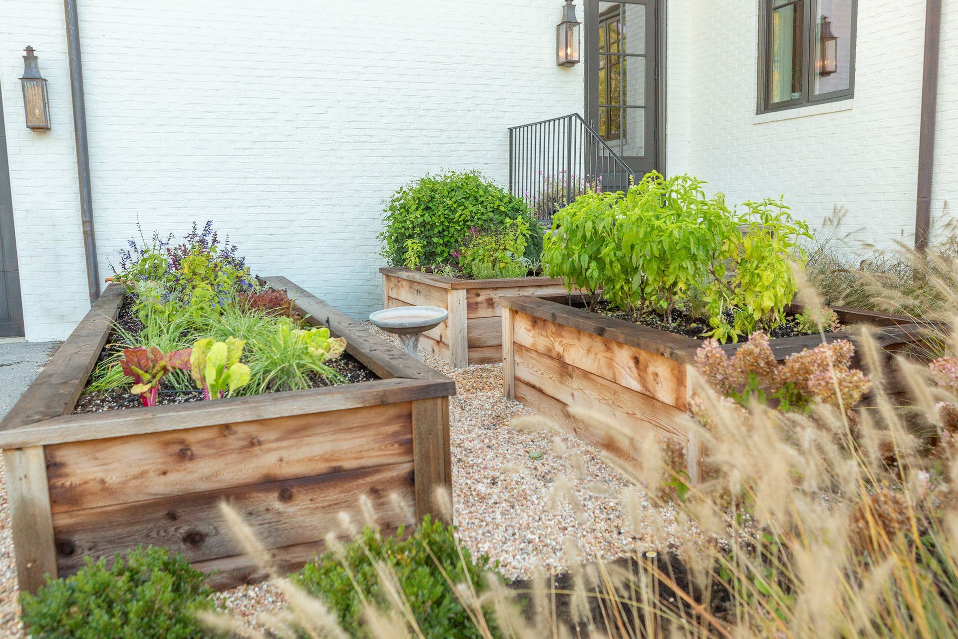 Stone pathway between hedges and gravel beds.