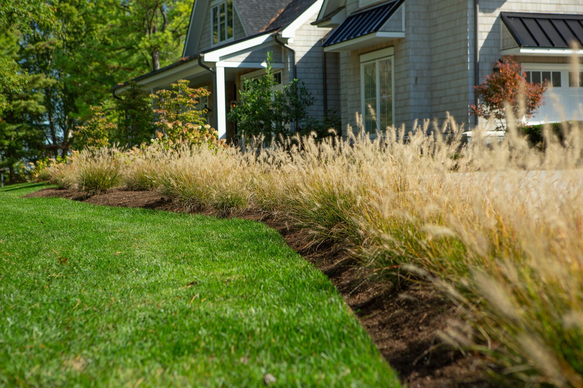 Green lawn borders a bed of ornamental grasses in front of a light-colored house.