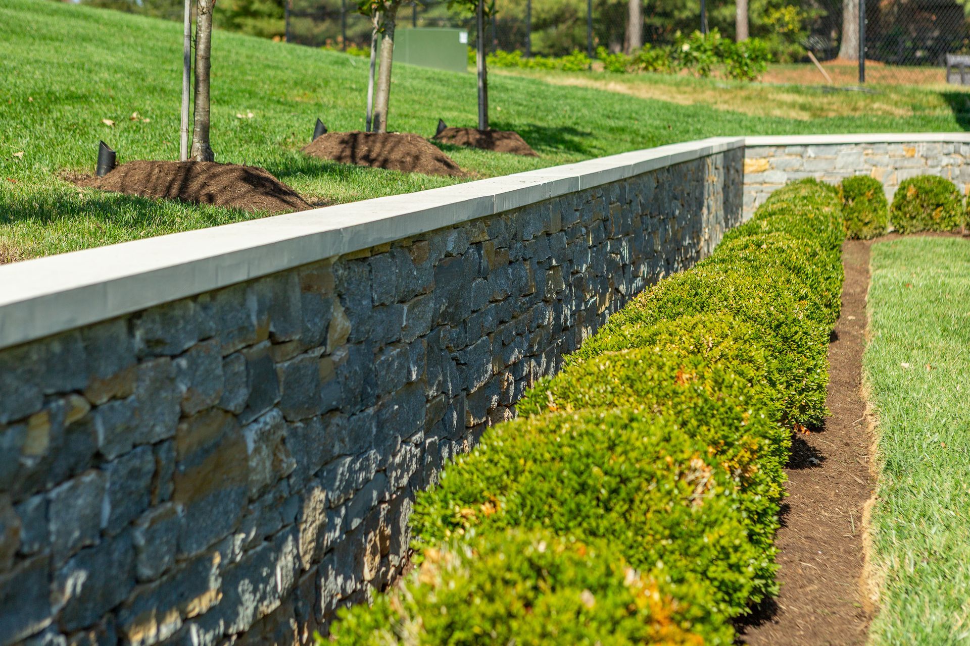 Stone wall with line of green bushes, next to a grassy lawn.