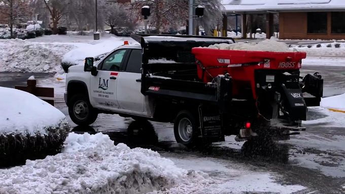 Lush green garden with well-maintained lawn, various foliage, trees in the background.