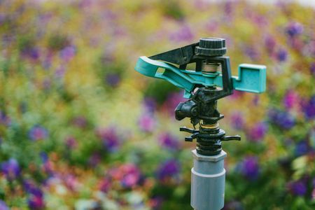 Green and black sprinkler watering a garden of purple flowers.
