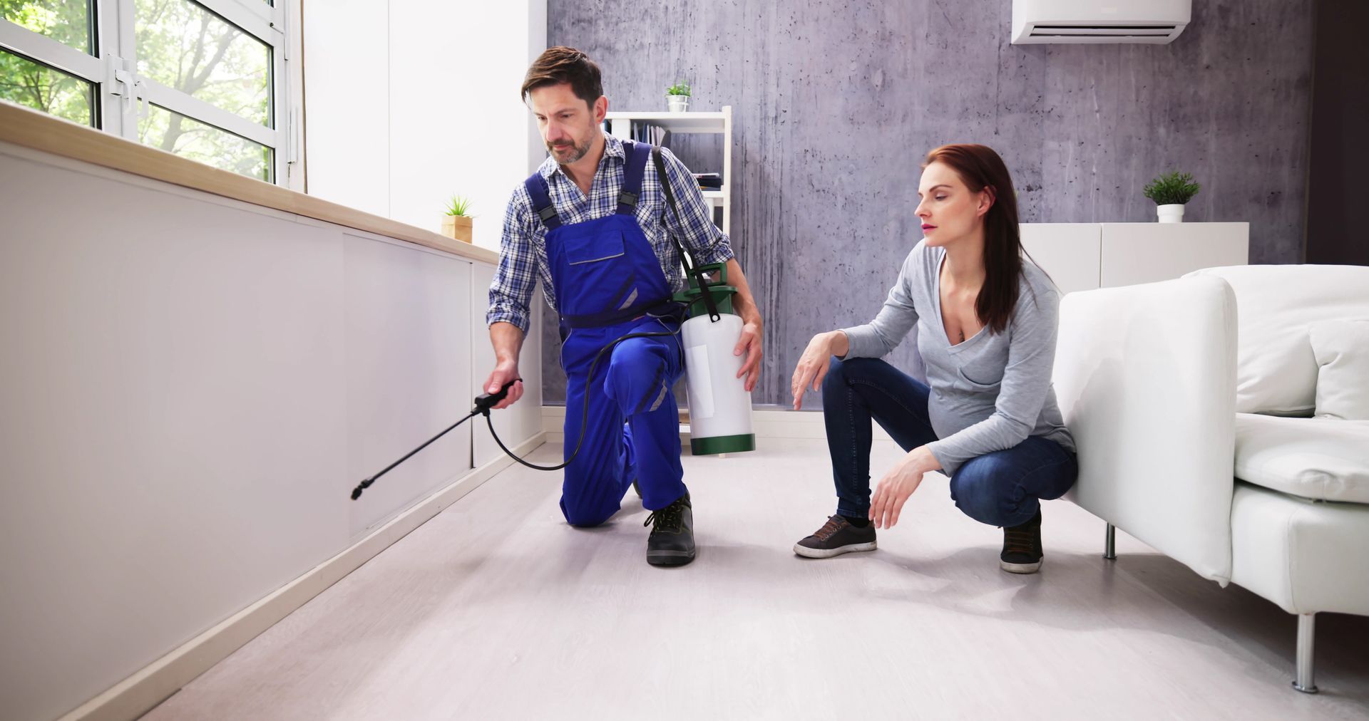 An exterminator is spraying a chemical for termite control in a living room. An exterminator is spraying a chemical for termite control in a living room.