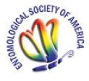 Entomological Society Of America