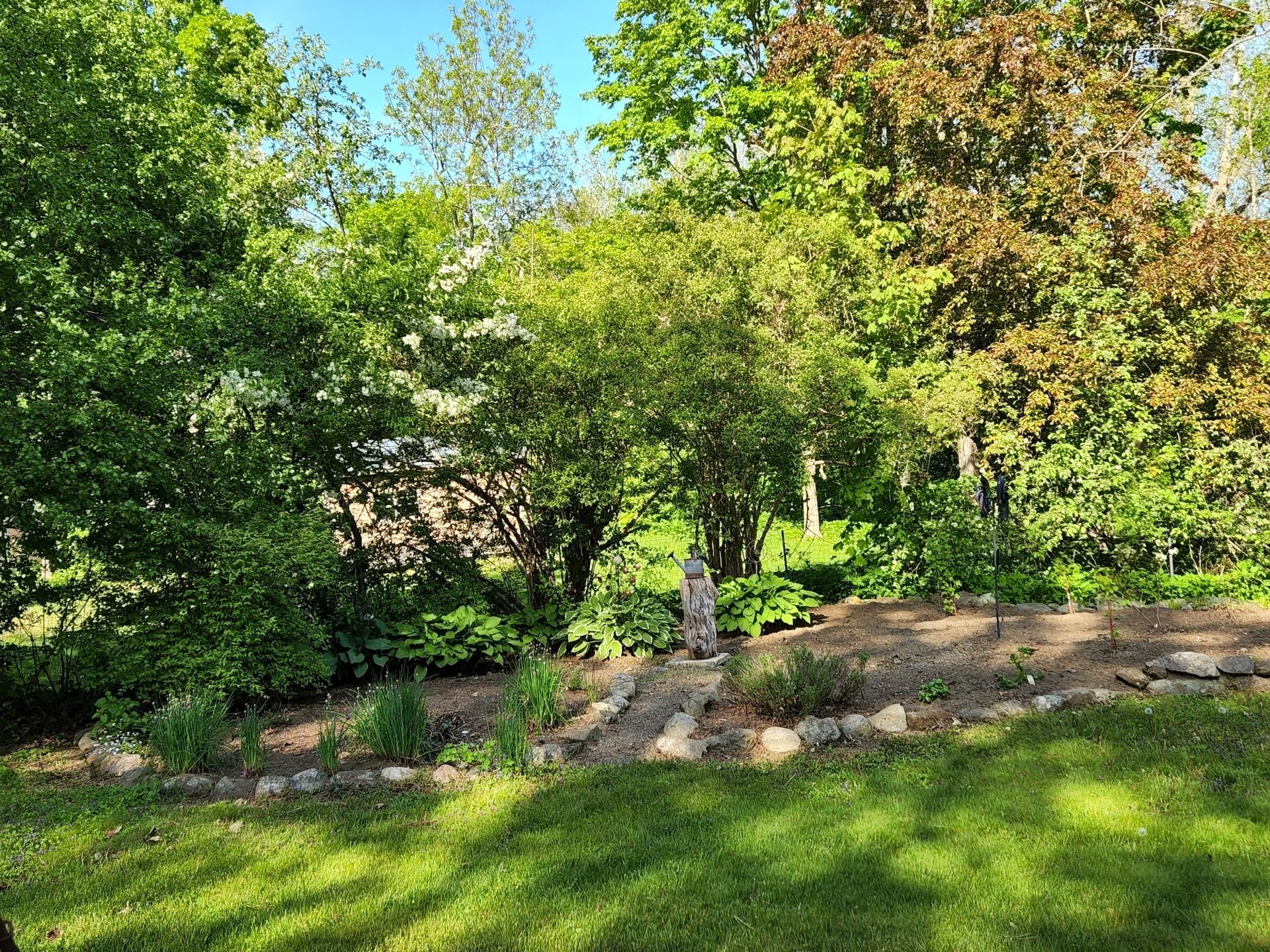 A lush green lawn surrounded by trees and bushes on a sunny day.