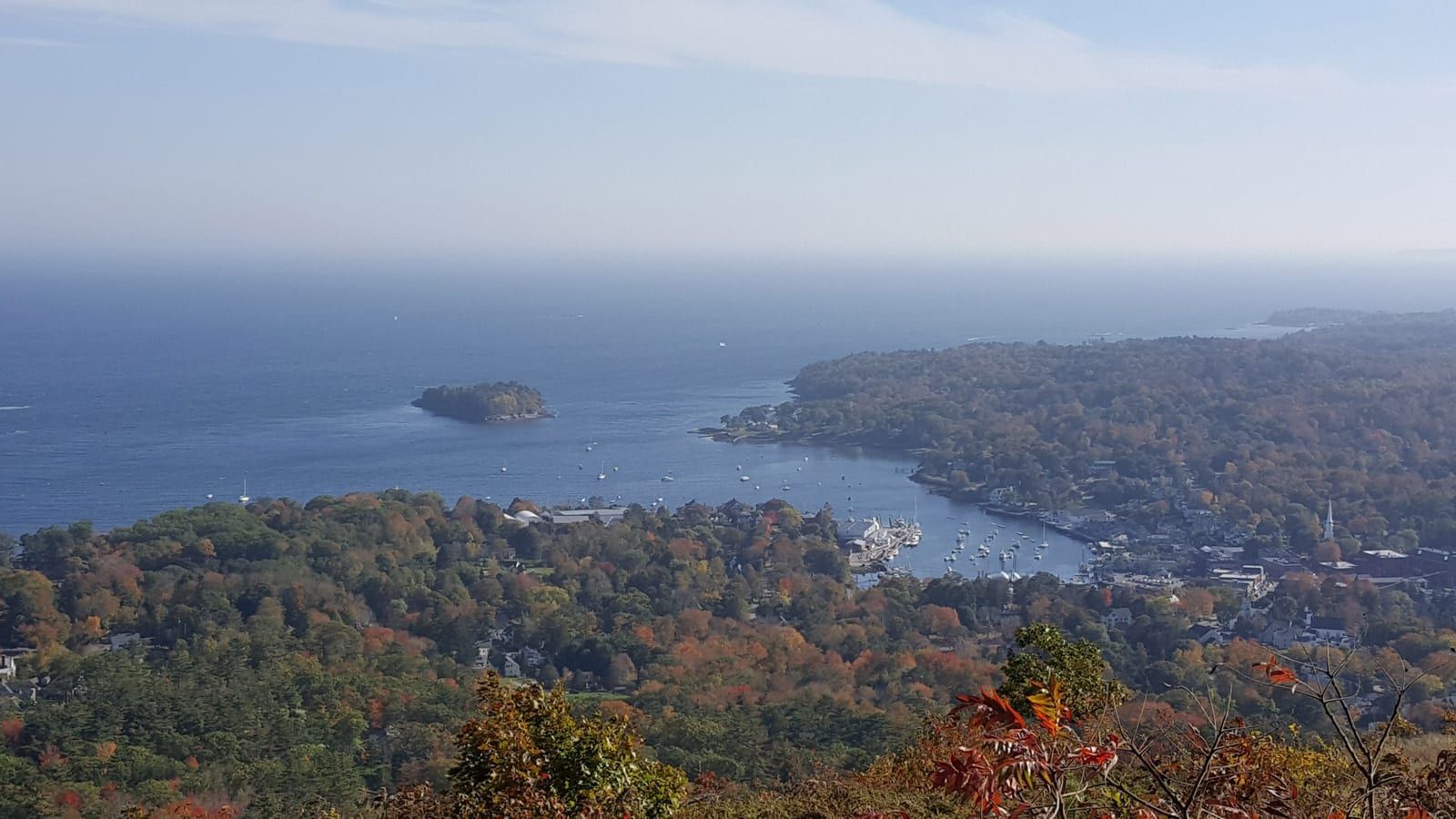 A view of a small island in the middle of a body of water surrounded by trees.