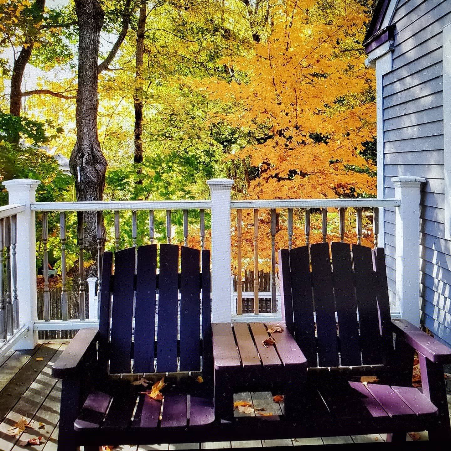 Two purple adirondack chairs on a deck with trees in the background