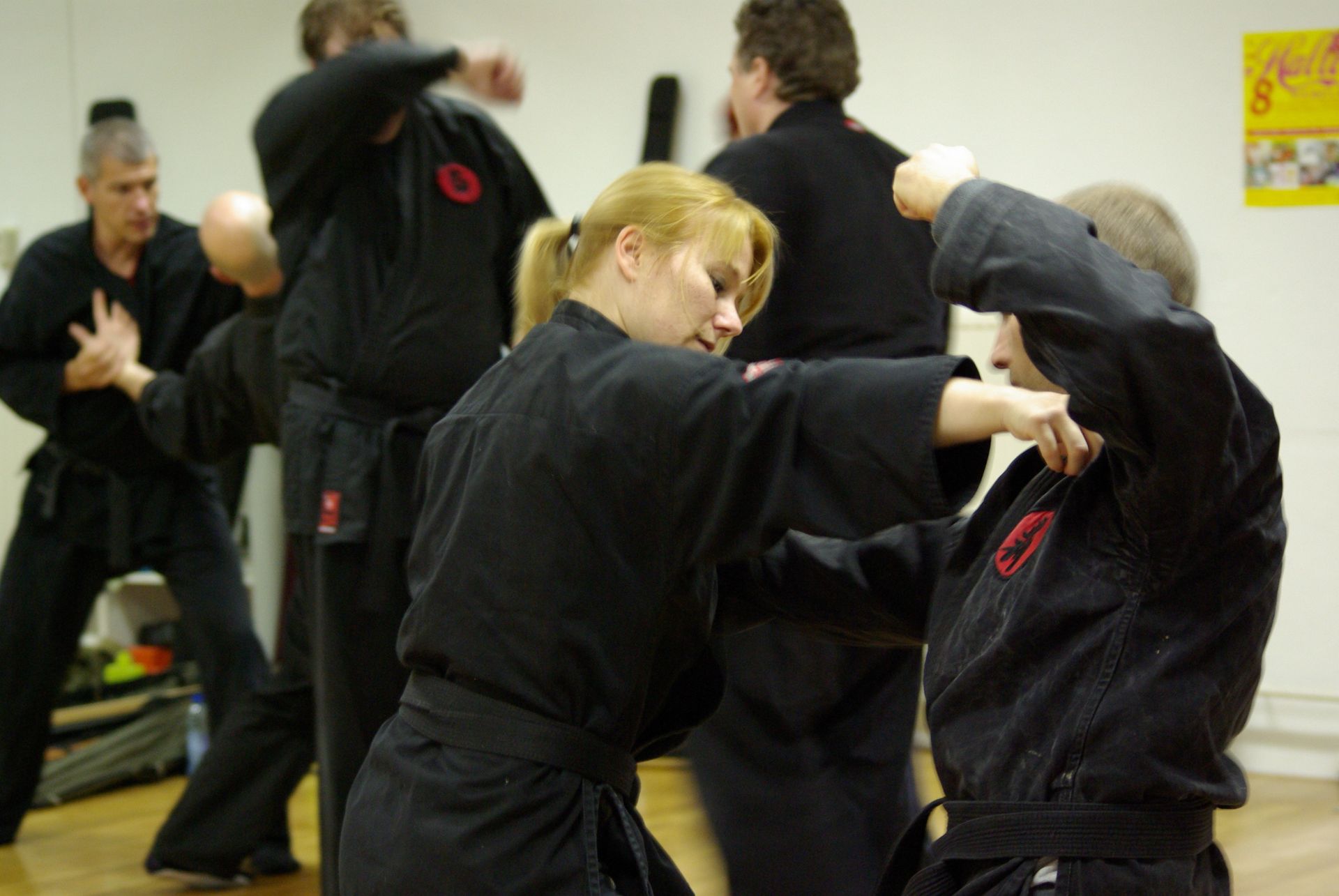 Training Bujinkan Budo Taijutsu / Ninjutsu, ABCT