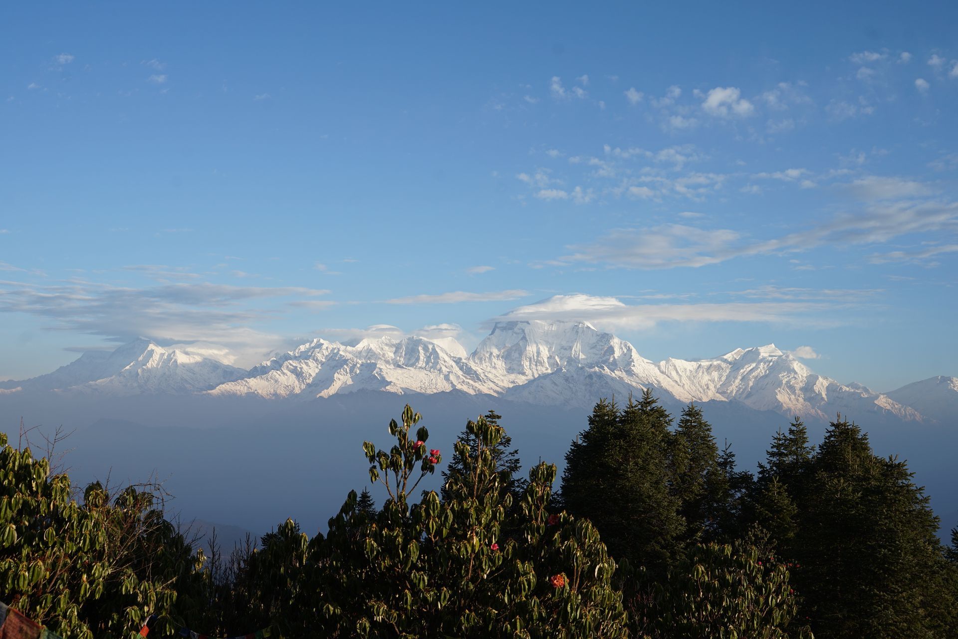 Annapurna Base Camps &  Mardi Himal Trekking