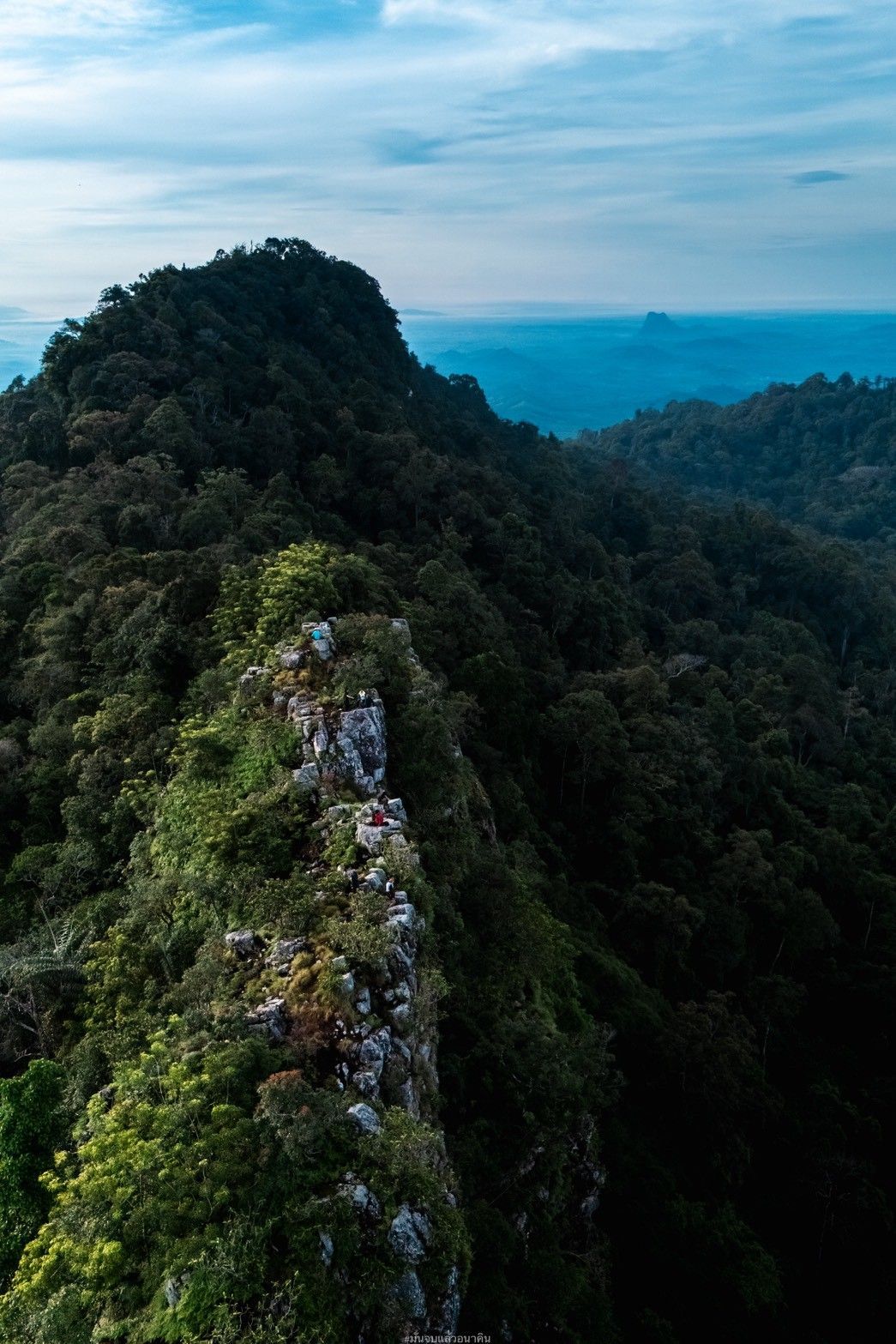 ผาพญาไม้ สุราษฎร์ธานี