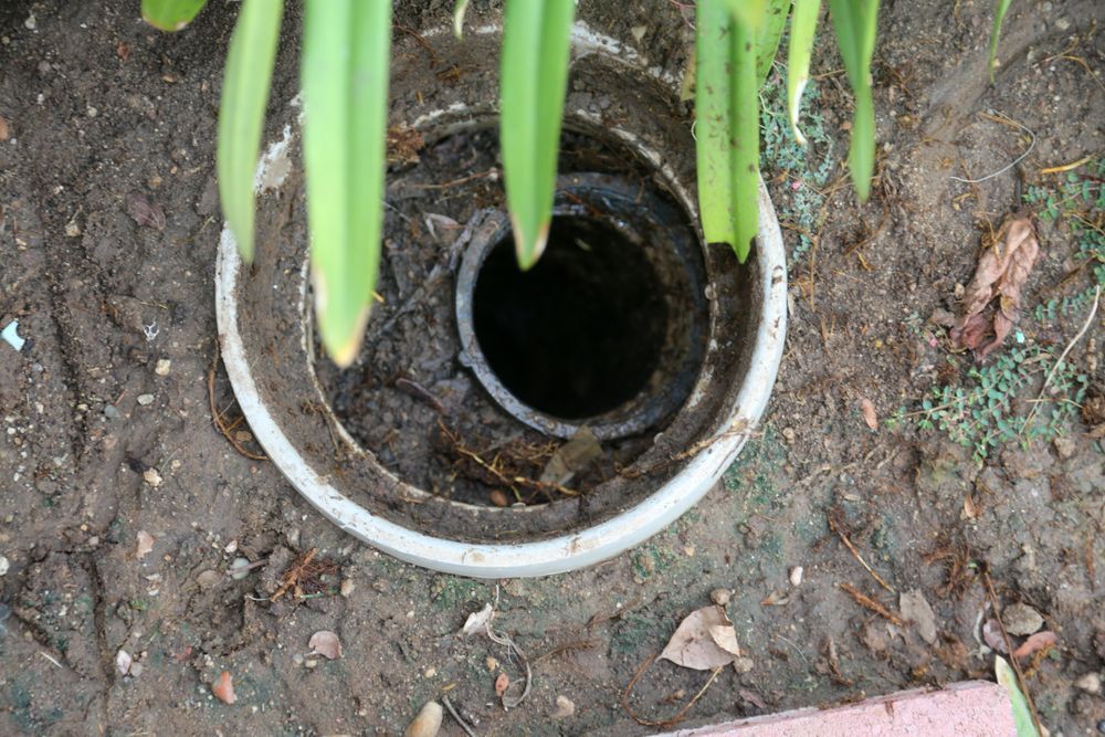 Yard French Drain