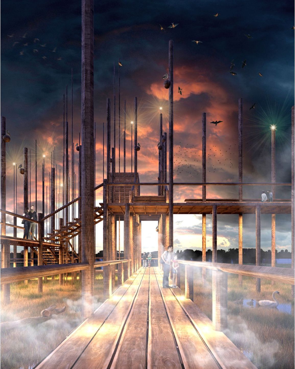 observatorio de aves