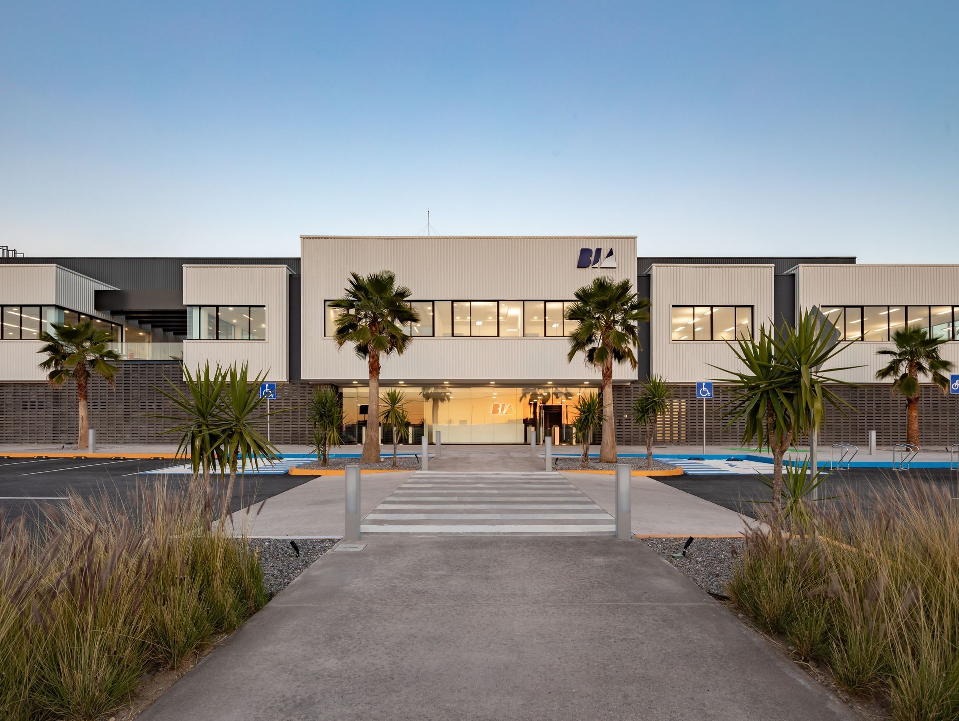 bia – die oberfläche