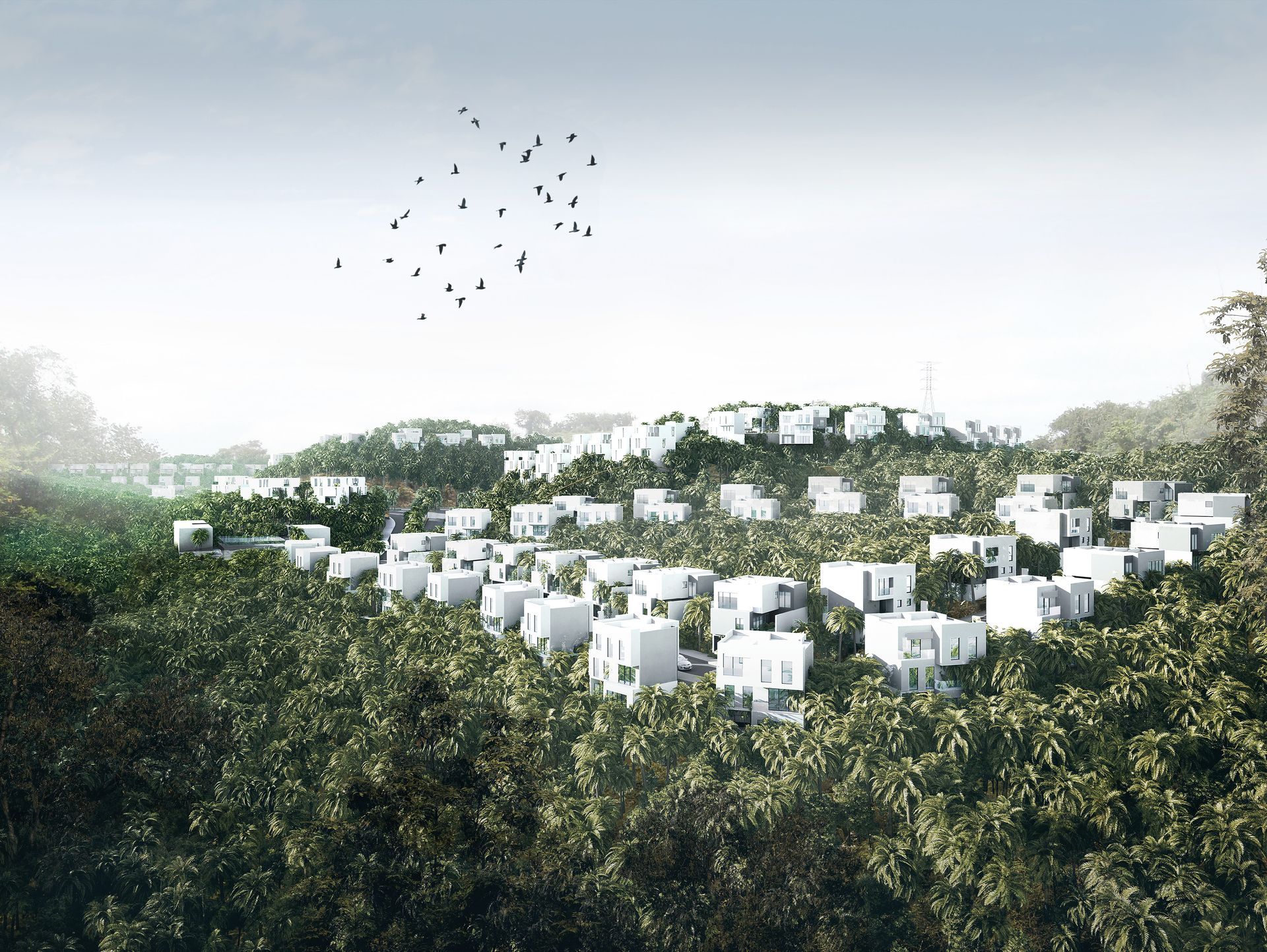 plan maestro papantla