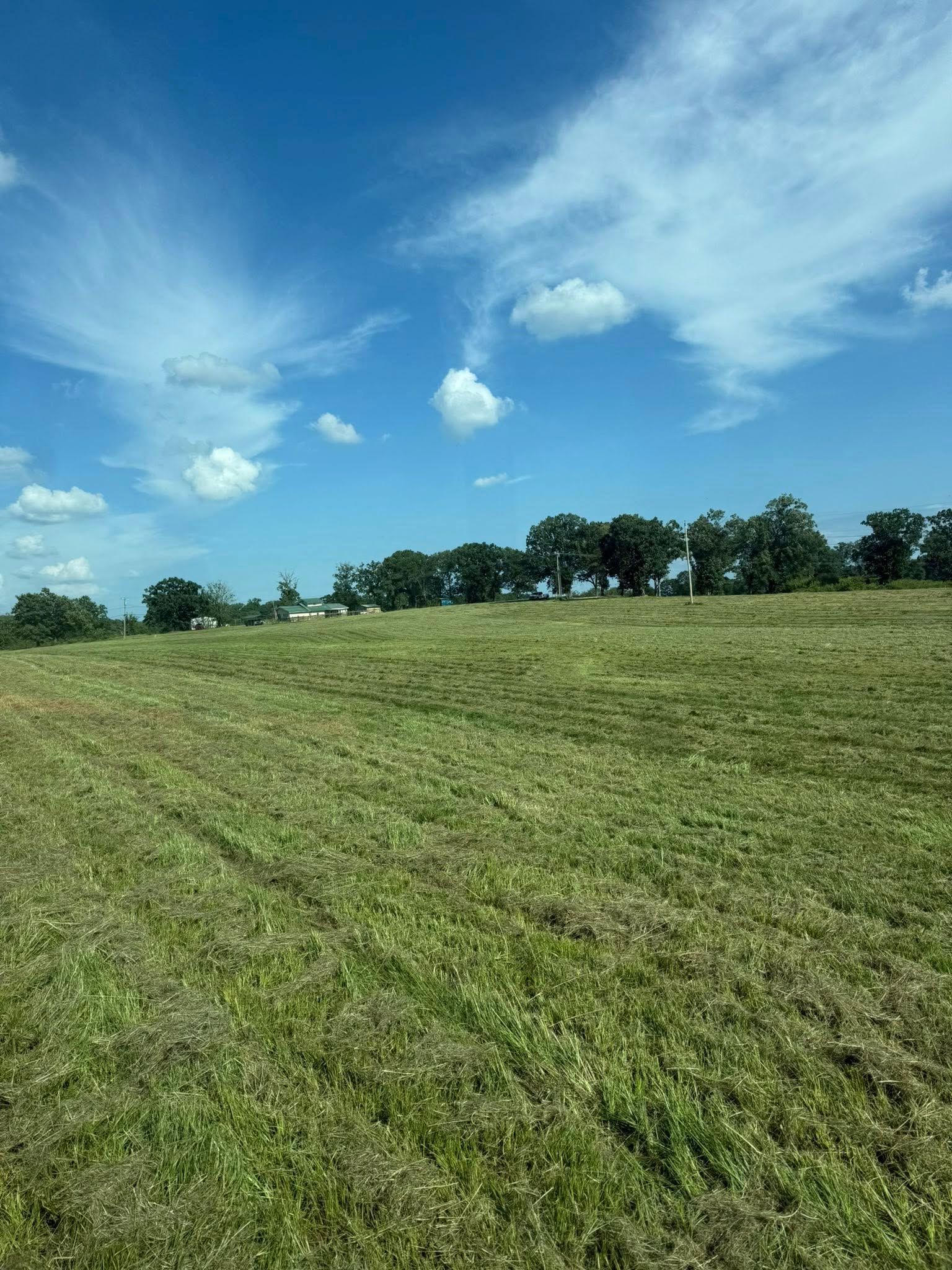 A wide, grassy field under a bright blue sky with scattered clouds, bordered by a line of trees in the distance.