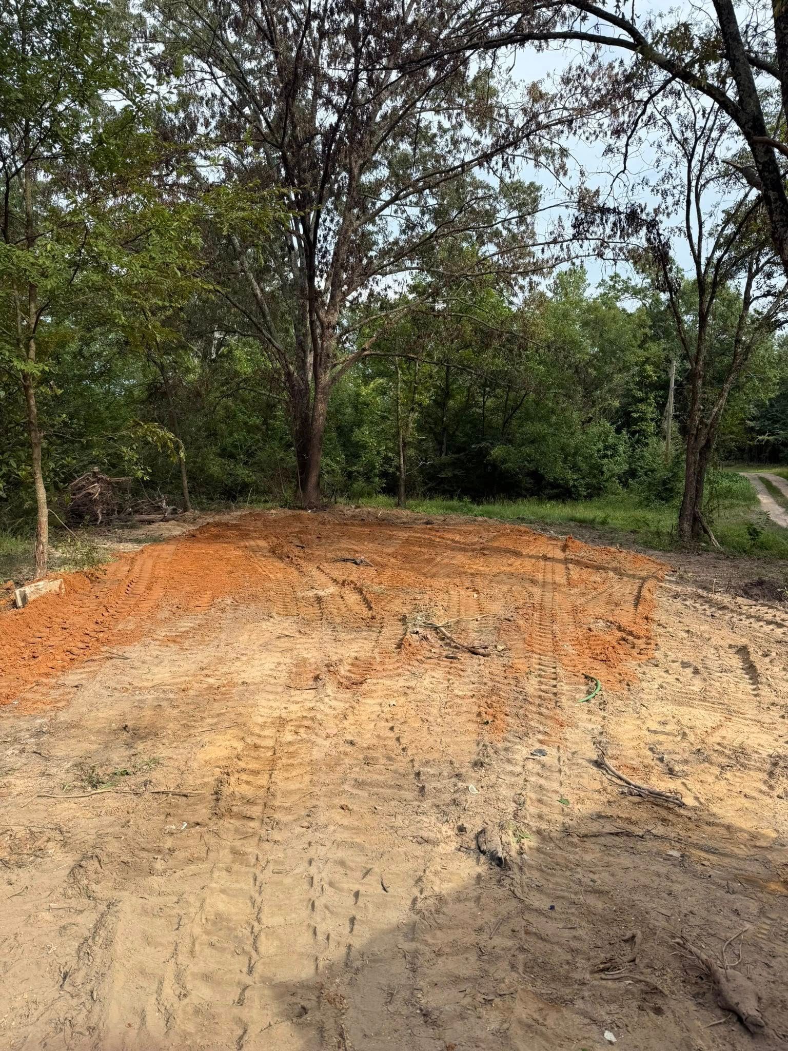 A patch of cleared, sandy red earth surrounded by lush green trees under a bright sky.