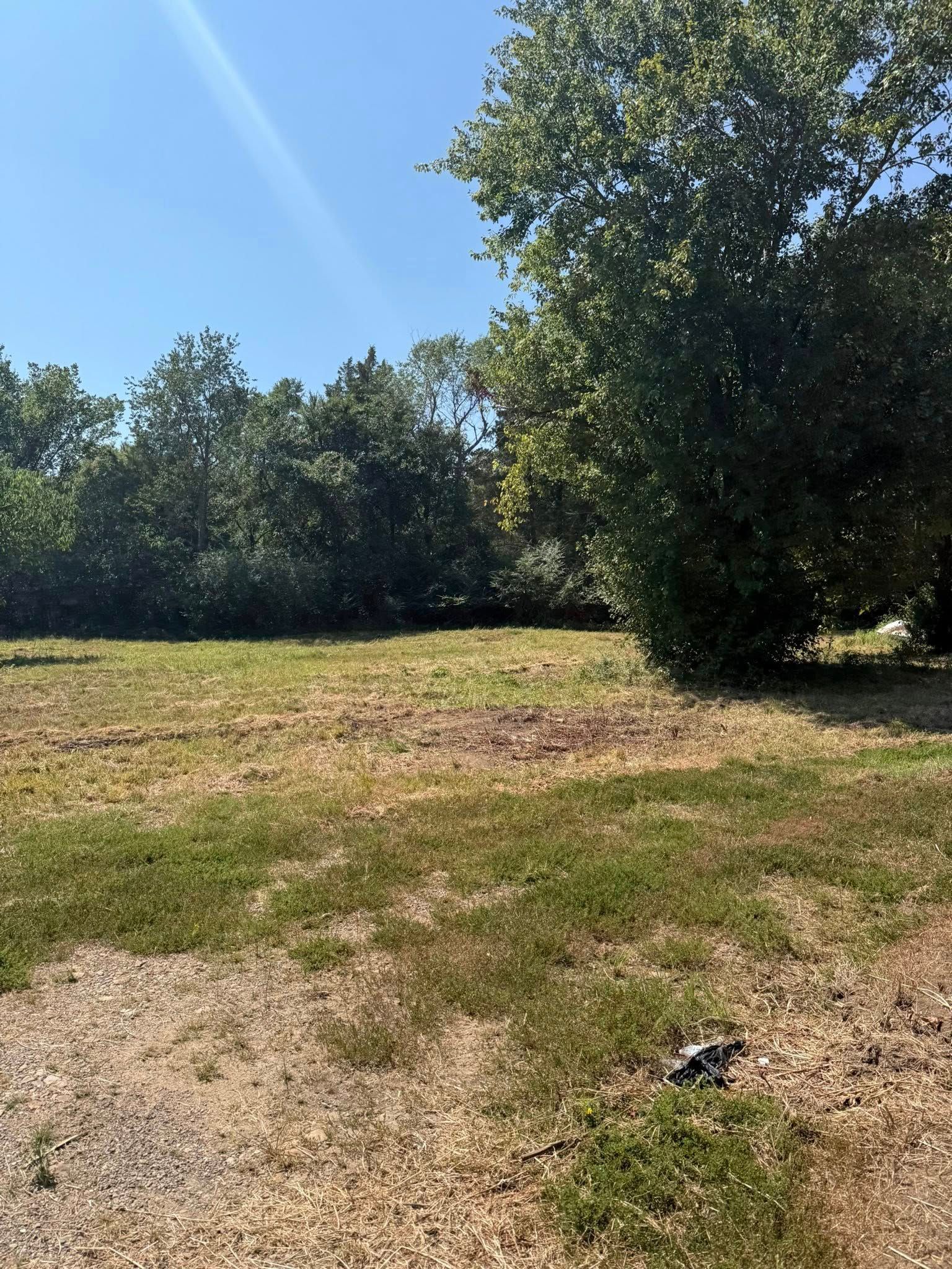 A sunny outdoor scene featuring a dry, grassy field bordered by a dense line of green trees against a clear blue sky.