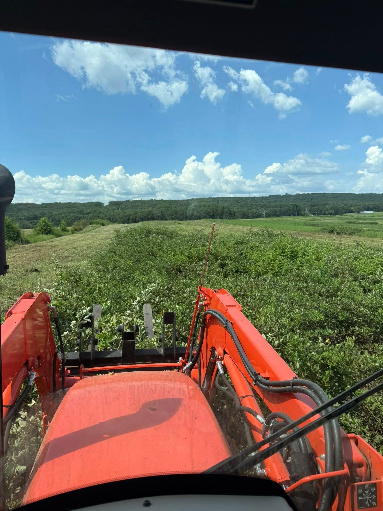 View from the driver's seat of an orange tractor moving through a field of green vegetation under a sunny blue sky.